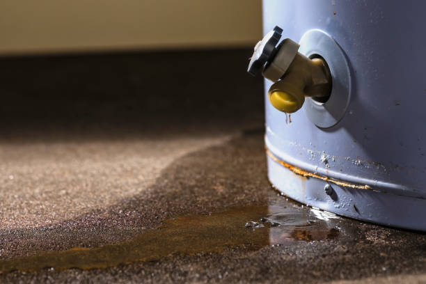 Best 24/7 water damage repair  in Fate, TX