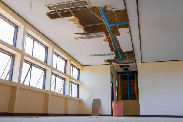 Best Basement water damage restoration  in Fate, TX
