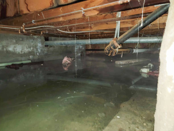 Best 24-hour water damage restoration  in Fate, TX