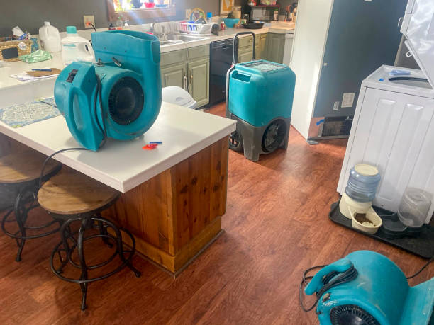 Best Basement water damage restoration  in Fate, TX
