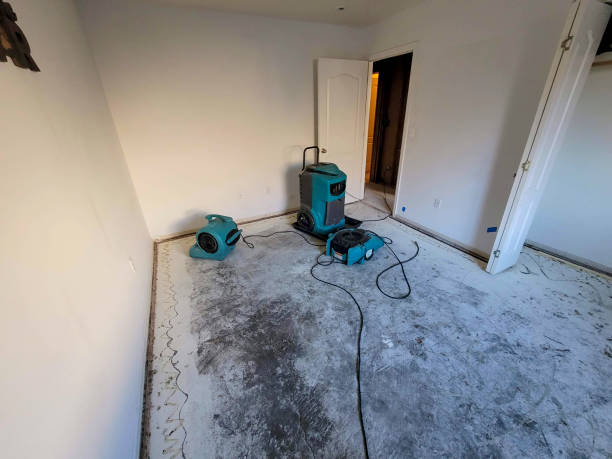 Best Water damage restoration specialists  in Fate, TX