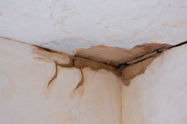 Best Flood damage cleanup  in Fate, TX