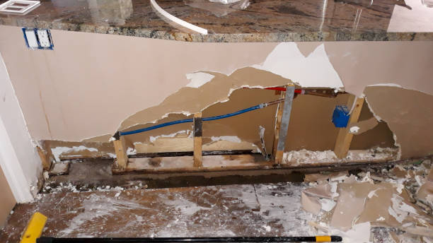 Best Water damage contractors near me  in Fate, TX